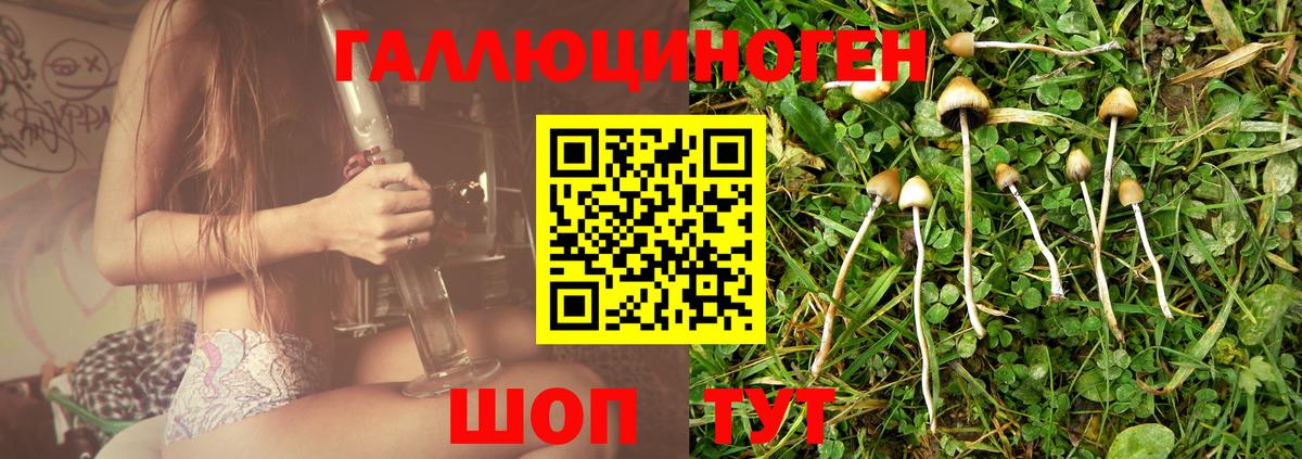 Борзя  Псилоцибиновые грибы мухоморы  Вход с VPN 